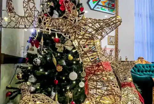 Бакинский бульвар - новогоднее украшение